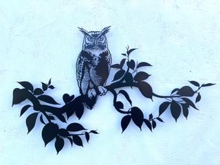 INT10 - Hibou sur branche